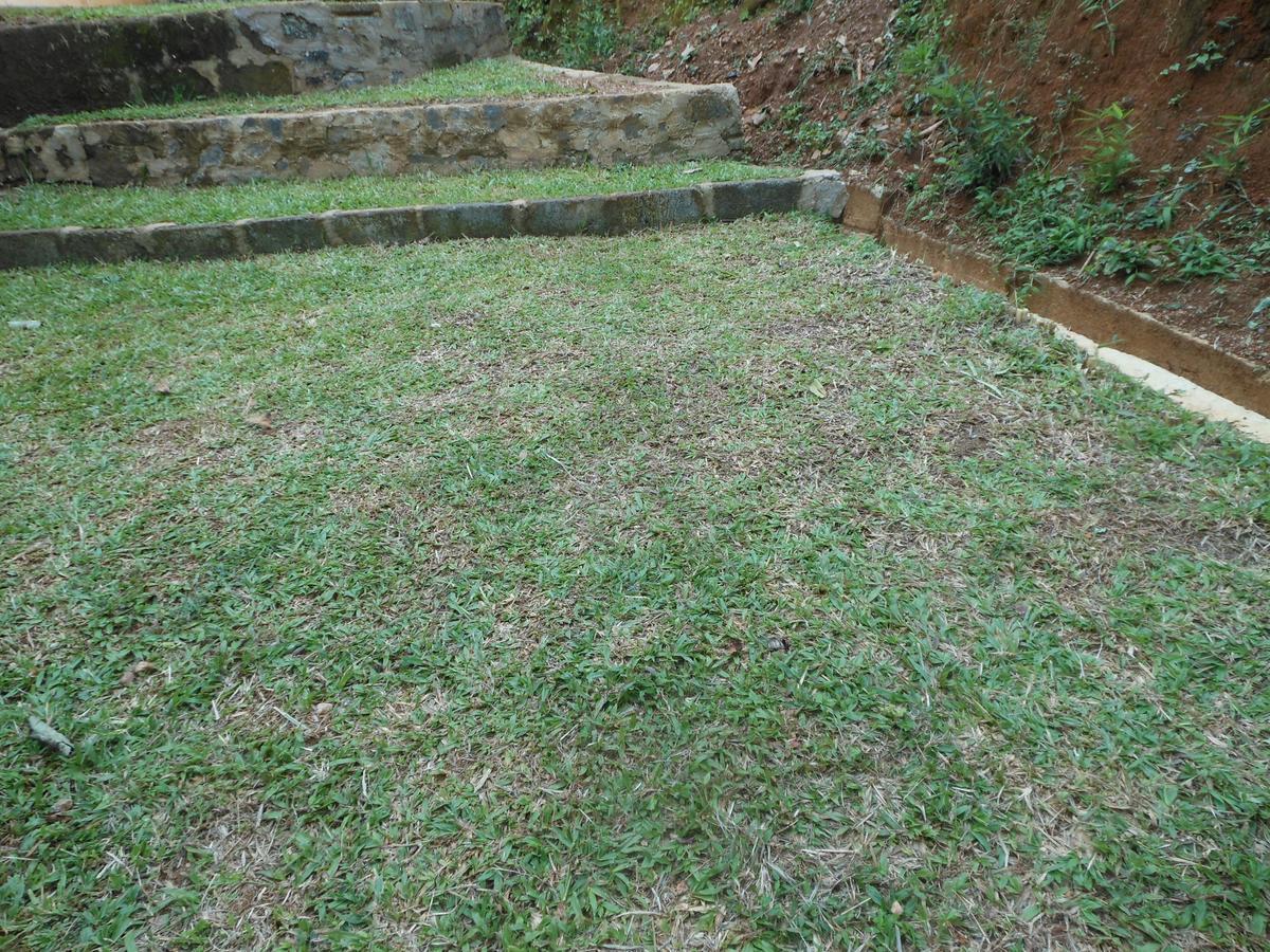 Lavender Hills Home Stay Kandy Luaran gambar