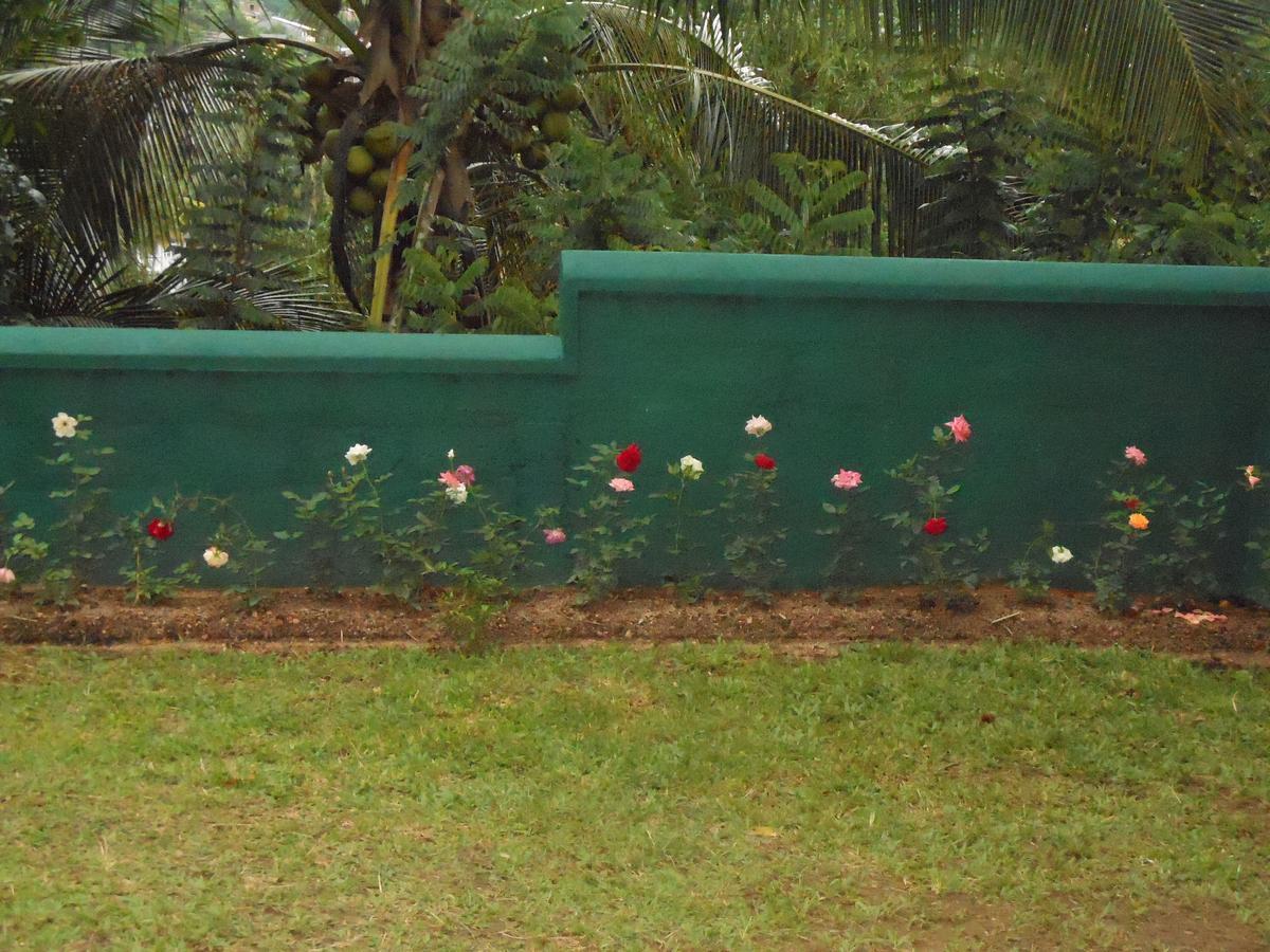 Lavender Hills Home Stay Kandy Luaran gambar